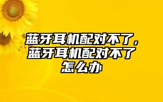 藍(lán)牙耳機配對不了,藍(lán)牙耳機配對不了怎么辦