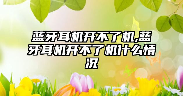 藍(lán)牙耳機開不了機,藍(lán)牙耳機開不了機什么情況