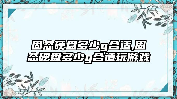 固態(tài)硬盤多少g合適,固態(tài)硬盤多少g合適玩游戲