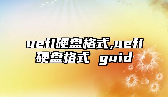 uefi硬盤格式,uefi硬盤格式 guid