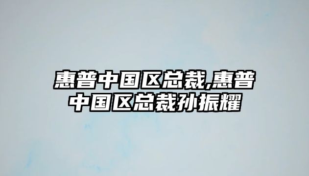 惠普中國區(qū)總裁,惠普中國區(qū)總裁孫振耀