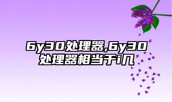 6y30處理器,6y30處理器相當于i幾