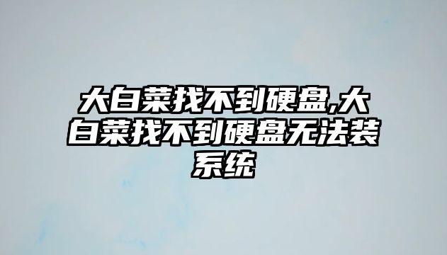 大白菜找不到硬盤,大白菜找不到硬盤無法裝系統(tǒng)