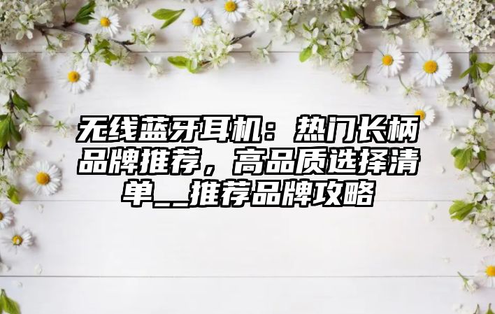 無(wú)線(xiàn)藍(lán)牙耳機(jī)：熱門(mén)長(zhǎng)柄品牌推薦，高品質(zhì)選擇清單__推薦品牌攻略