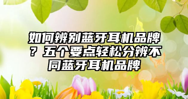 如何辨別藍(lán)牙耳機(jī)品牌？五個(gè)要點(diǎn)輕松分辨不同藍(lán)牙耳機(jī)品牌