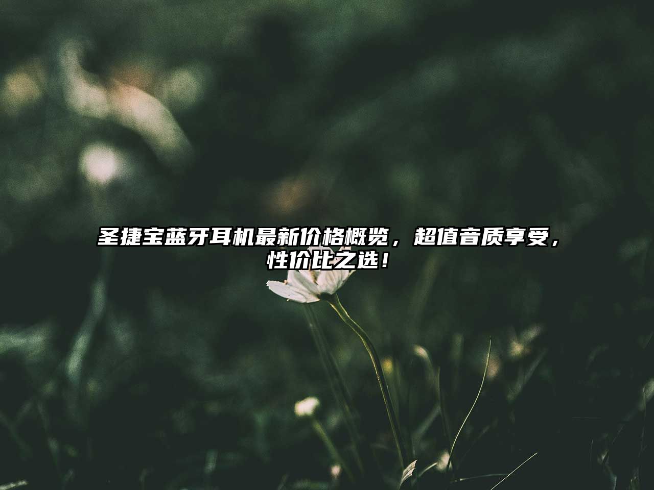 圣捷寶藍(lán)牙耳機(jī)最新價(jià)格概覽，超值音質(zhì)享受，性價(jià)比之選！