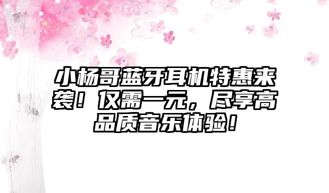 小楊哥藍牙耳機特惠來襲！僅需一元，盡享高品質(zhì)音樂體驗！