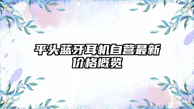 平頭藍(lán)牙耳機(jī)自營(yíng)最新價(jià)格概覽