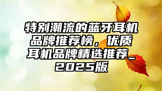 特別潮流的藍牙耳機品牌推薦榜，優(yōu)質(zhì)耳機品牌精選推薦_2025版